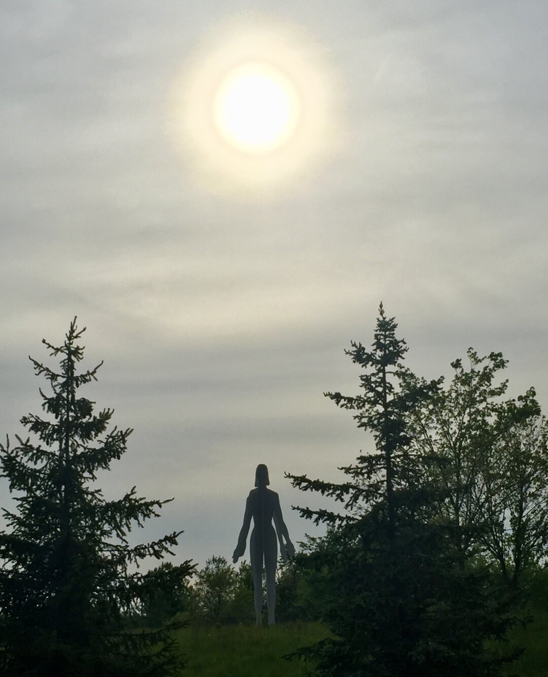 A very large humanoid sculpture stand silhouetted against a winter sky. Evergreens surround. The sun is hazy in the sky.