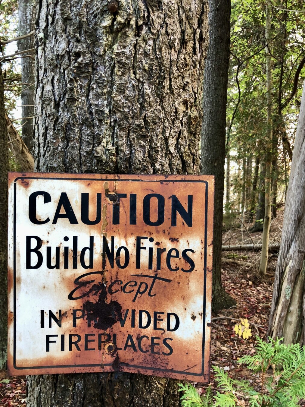 In the woods, a very rusty sign nailed to a tree says “CAUTION: Build no fires except in provided fireplaces.”