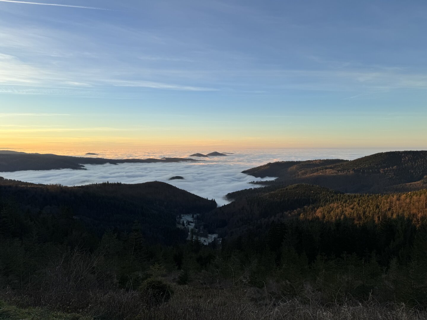 Eine atemberaubende Landschaft, die von einem erhöhten Aussichtspunkt aus fotografiert wurde. Im Vordergrund erstreckt sich ein bewaldetes Tal mit dichten, dunkelgrünen Nadelwäldern, die von Hügeln und Bergen umgeben sind. Der Boden ist teilweise mit niedrigem Buschwerk bewachsen.

In der Mitte des Bildes liegt ein Meer aus Nebel, das die Täler vollständig bedeckt und wie eine weiße, dichte Decke wirkt. Aus diesem Nebel ragen vereinzelte Hügel oder Bergspitzen wie Inseln hervor. Im Hintergrund verschmilzt der Nebel mit einem warmen, orangefarbenen Horizont, der auf einen Sonnenaufgang oder Sonnenuntergang hindeutet. Darüber ist der Himmel klar und in zarten Blau- und Gelbtönen gefärbt, wobei ein dünner Kondensstreifen eines Flugzeugs sichtbar ist. Die Szene vermittelt eine ruhige, fast magische Atmosphäre.