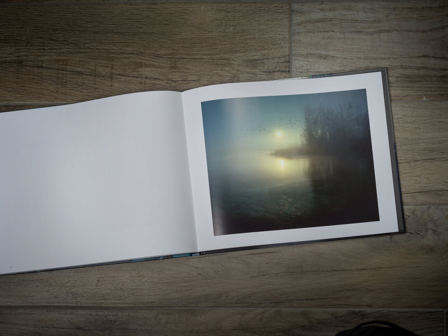 Link Preview Image