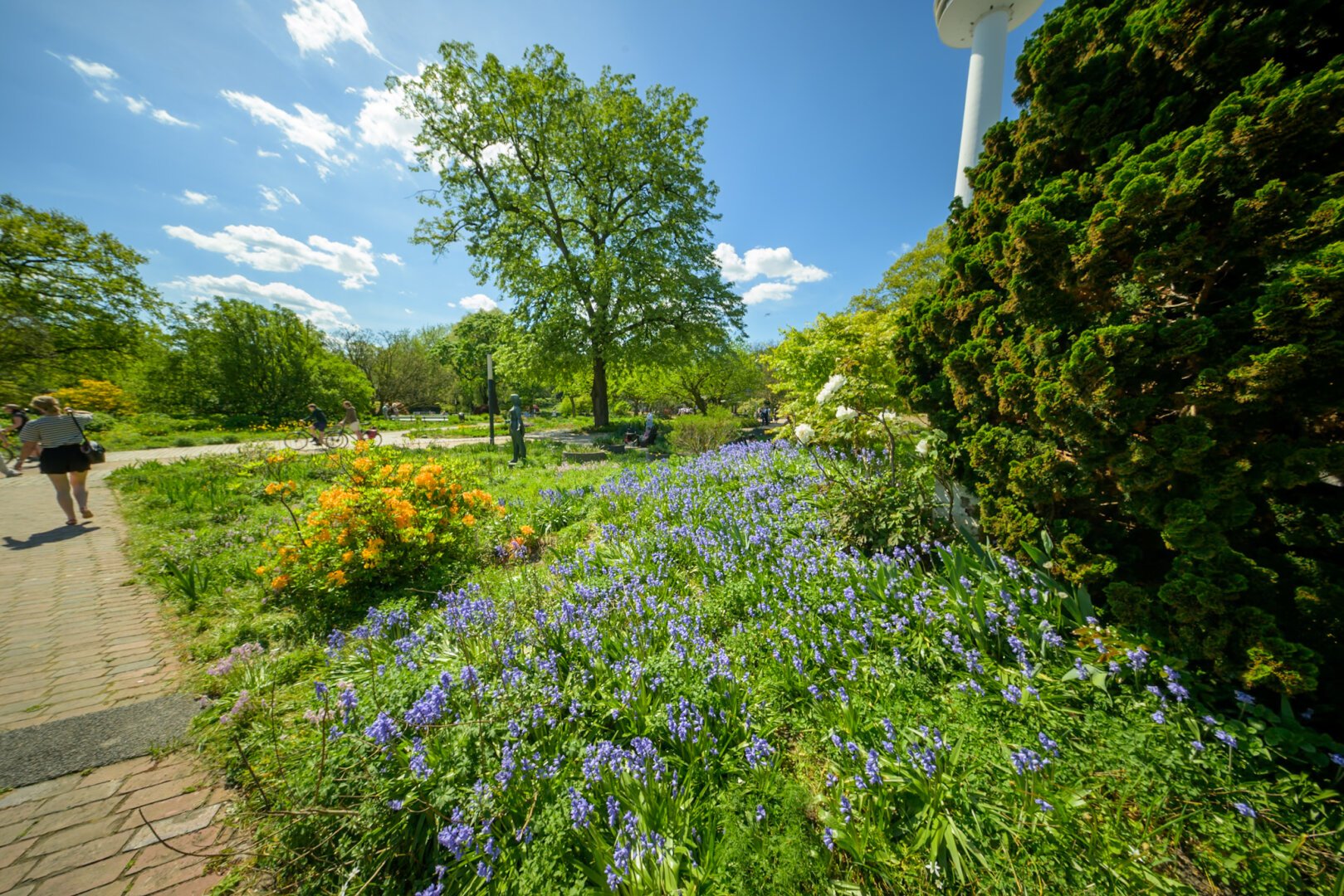 Weite Landschaftsaufnahme mit Hasenglöckchen, weiten bunten Blumen, blauem Himmel, Menschen im Park und dem Heinrich-Hertz-Turm im Anschnitt rechts