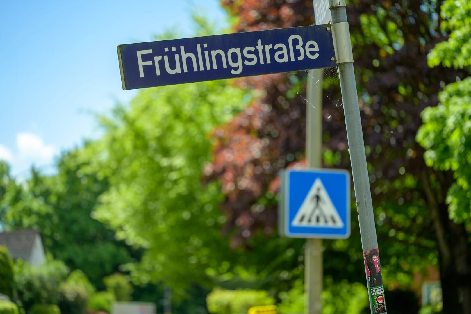 Strassenschild 'Frühlingstrasse'