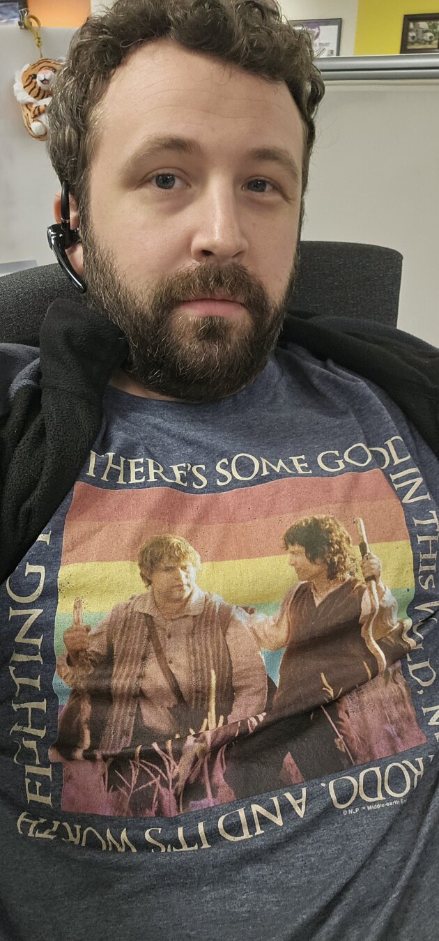 a bearded man with curly hair wearing a shirt featuring Sam and Frodo from the Lord of the rings films standing in front of a pride flag. caption surround the square that reads, " there's some good in this world Mr. Frodo, and it's worth fighting for."