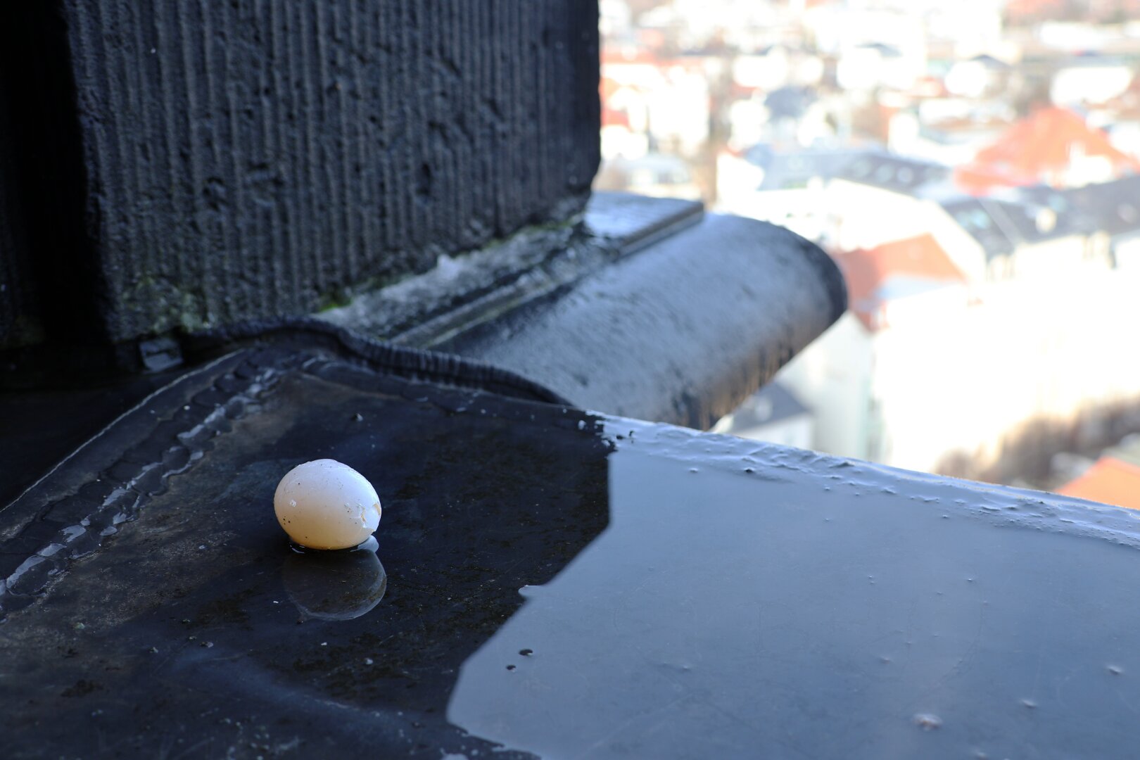 A cracked pigeon egg rests on the weathered metal roof of the Dreikönigskirche spire in Dresden. The egg, slightly dirty and partially shattered, sits near a puddle of water, with the cityscape of Dresden faintly visible in the background.