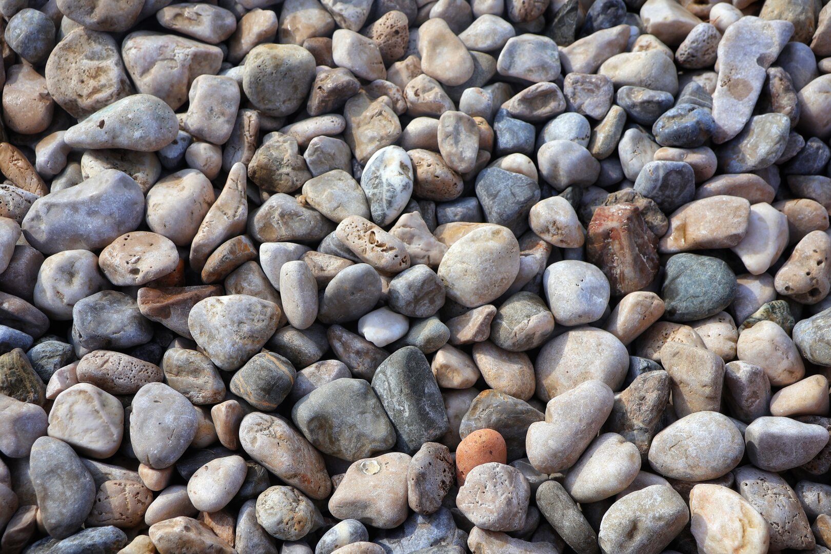 A detailed close-up of countless smooth, rounded pebbles in varied shades of grey, white, beige, and brown, tightly packed together. Some stones feature subtle hints of green, red, or blue, with diverse shapes, textures, and colour variations, forming a natural, earthy mosaic pattern under soft natural lighting.