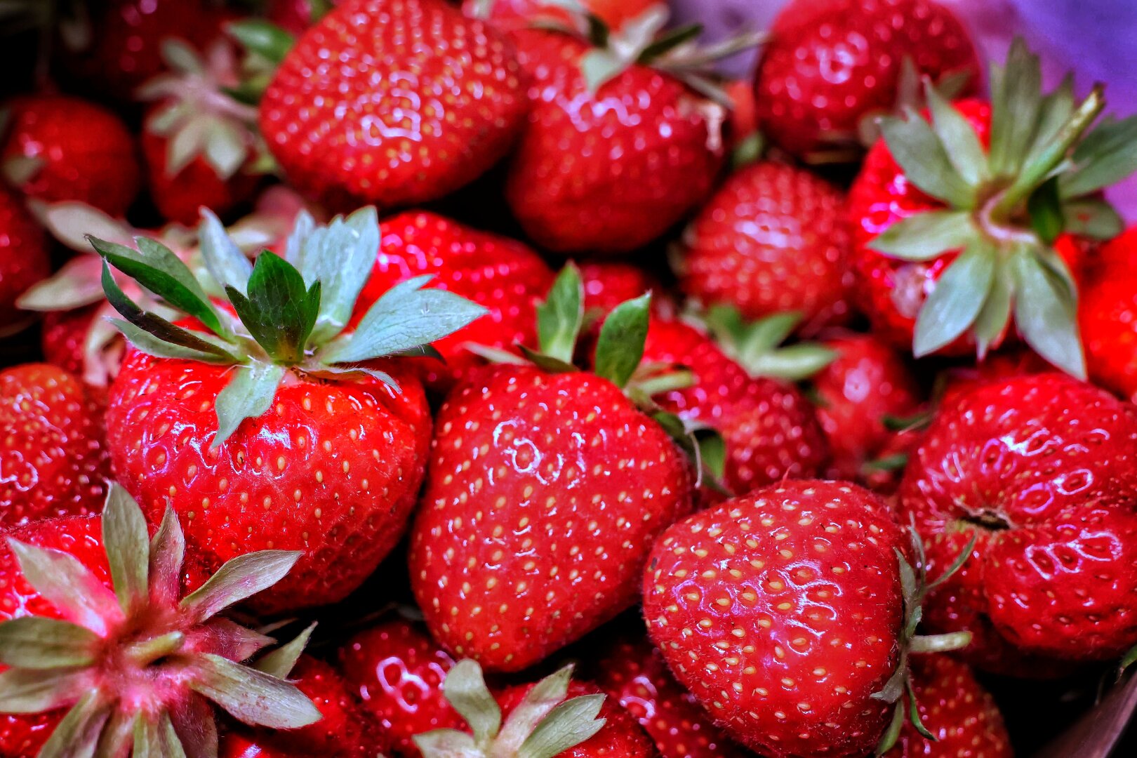 A close-up view of fresh, ripe strawberries densely packed together. The berries display a vibrant, deep red colour with textured surfaces covered in tiny seeds, and have a glossy, reflective sheen suggesting freshness. Bright green calyxes and stems extend from each conical fruit, with some featuring small, delicate leaves. The plump strawberries appear recently harvested, their rich colour enhanced by natural light that creates a sense of abundance.