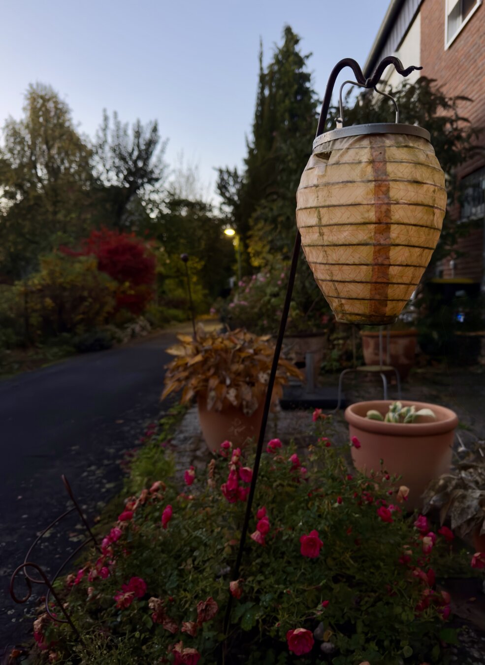 Eine dekorative Laterne hängt an einem Metallpfosten, umgeben von blühenden rosa Blumen und Topfpflanzen. Im Hintergrund führt ein Weg durch einen Garten mit verschiedenen Bäumen und buntem Laub unter einem klaren Abendhimmel.