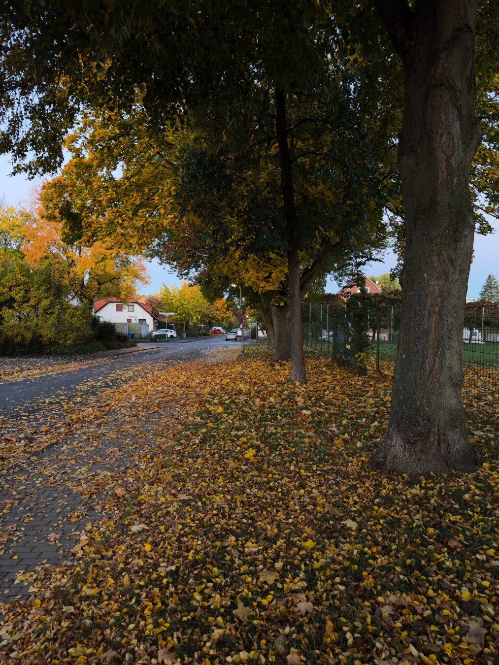 Eine von Bäumen gesäumte Straße im Herbst, bedeckt mit gefallenen gelben und braunen Blättern. Häuser in der Nähe sind sichtbar, und die Szene wird von weichem, natürlichem Licht beleuchtet.