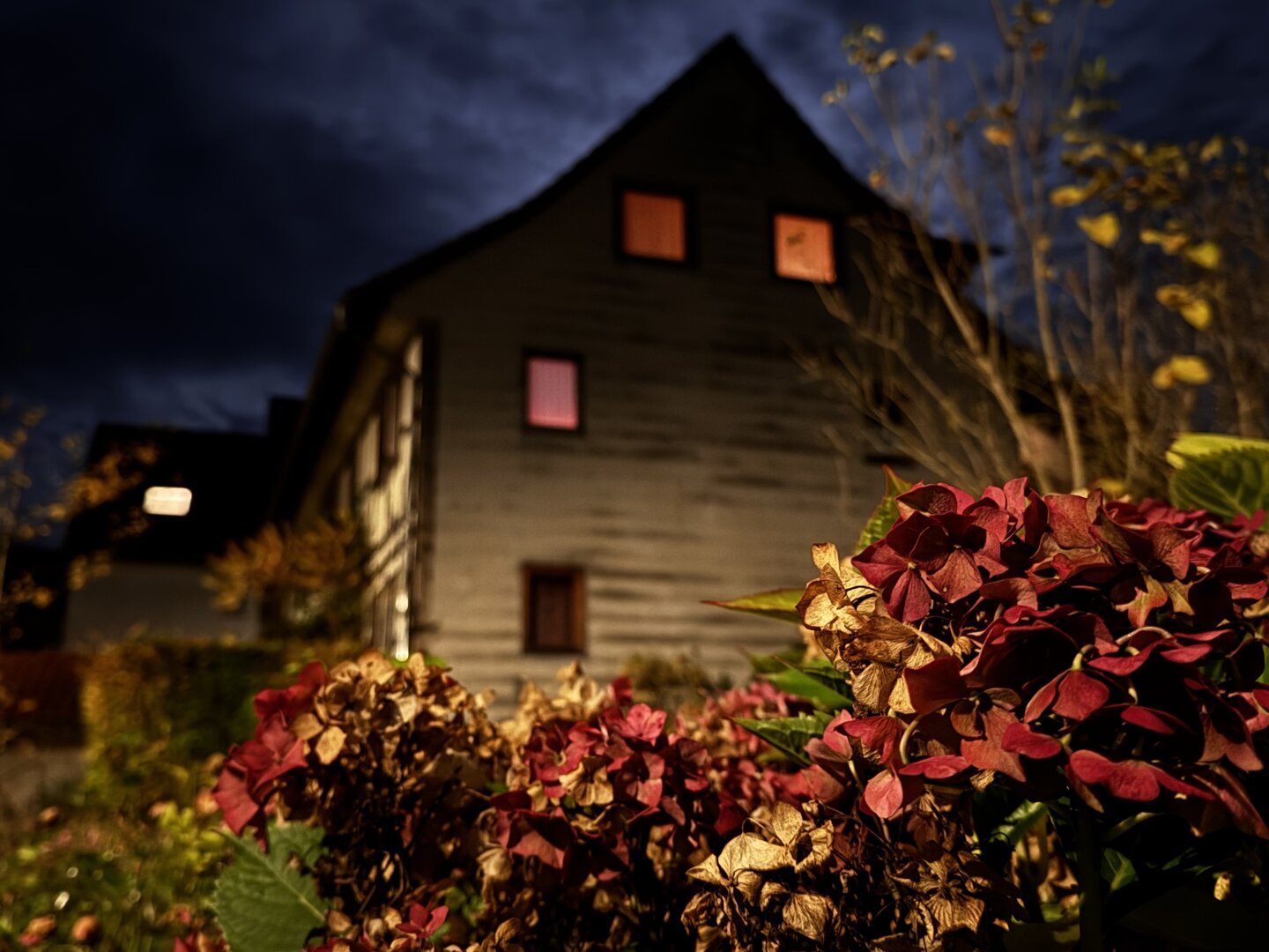 Im Hintergrund steht ein schwach beleuchtetes Haus mit leuchtenden Fenstern, das teilweise von bunten Blumen im Vordergrund verdeckt wird. Die Szene spielt sich vor einem dunklen, bewölkten Himmel ab, der eine stimmungsvolle Atmosphäre schafft.