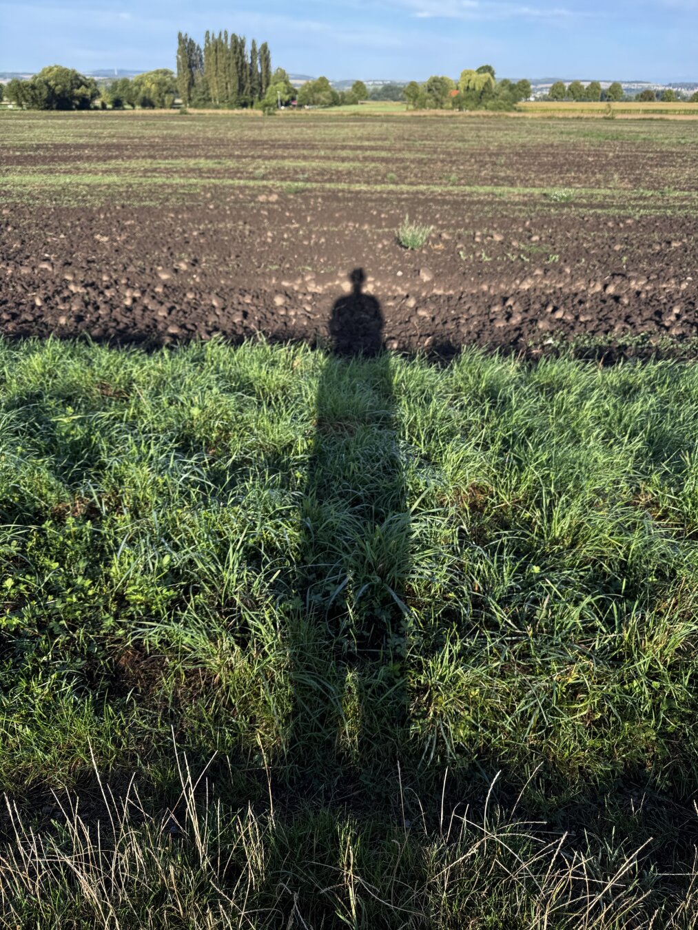 Ein langer Schatten fällt auf eine Wiese, im Hintergrund ist ein gepflügtes Feld zu sehen. Am Horizont reihen sich Bäume unter einem strahlend blauen Himmel aneinander.