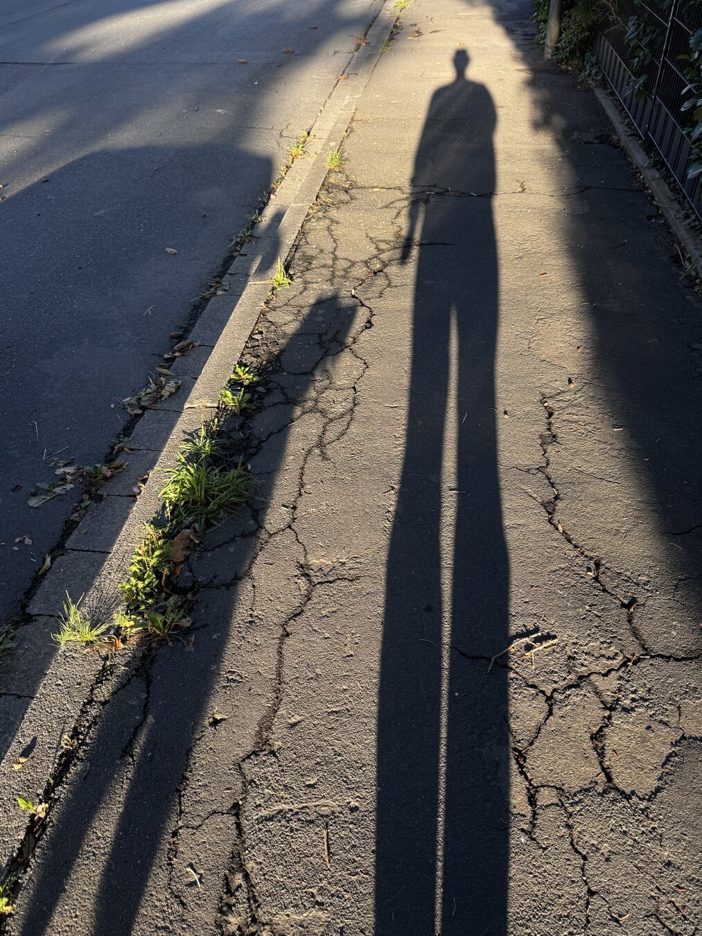 Der lange Schatten einer Person fällt auf einen rissigen Bürgersteig neben einem grasbewachsenen Rand in einer gut beleuchteten Außenkulisse.