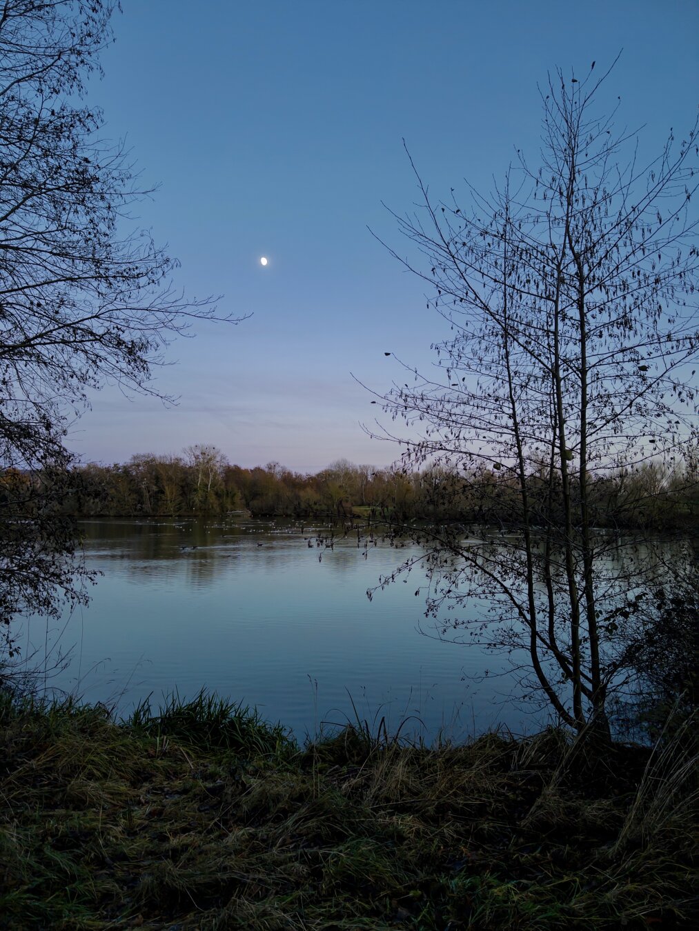A serene landscape featuring a calm lake surrounded by trees, under a twilight sky with a visible moon. The scene captures reflections on the water and emphasizes natural tranquility.