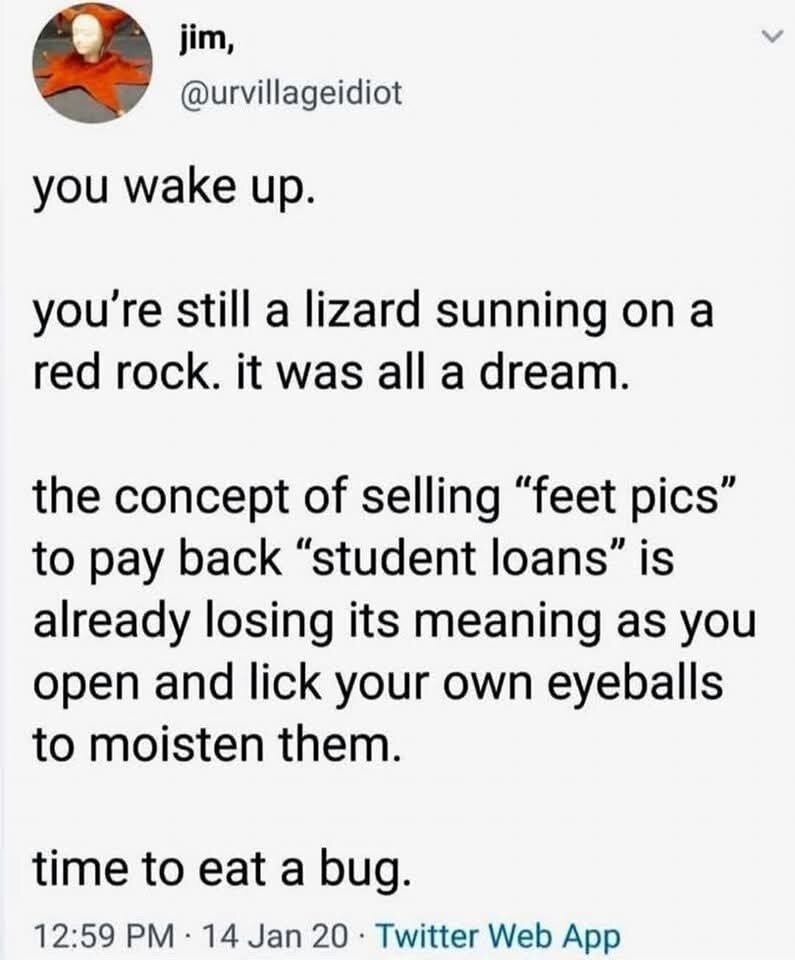 you wake up. 
you're still a lizard sunning on a red rock. it was all a dream. 
the concept of selling 