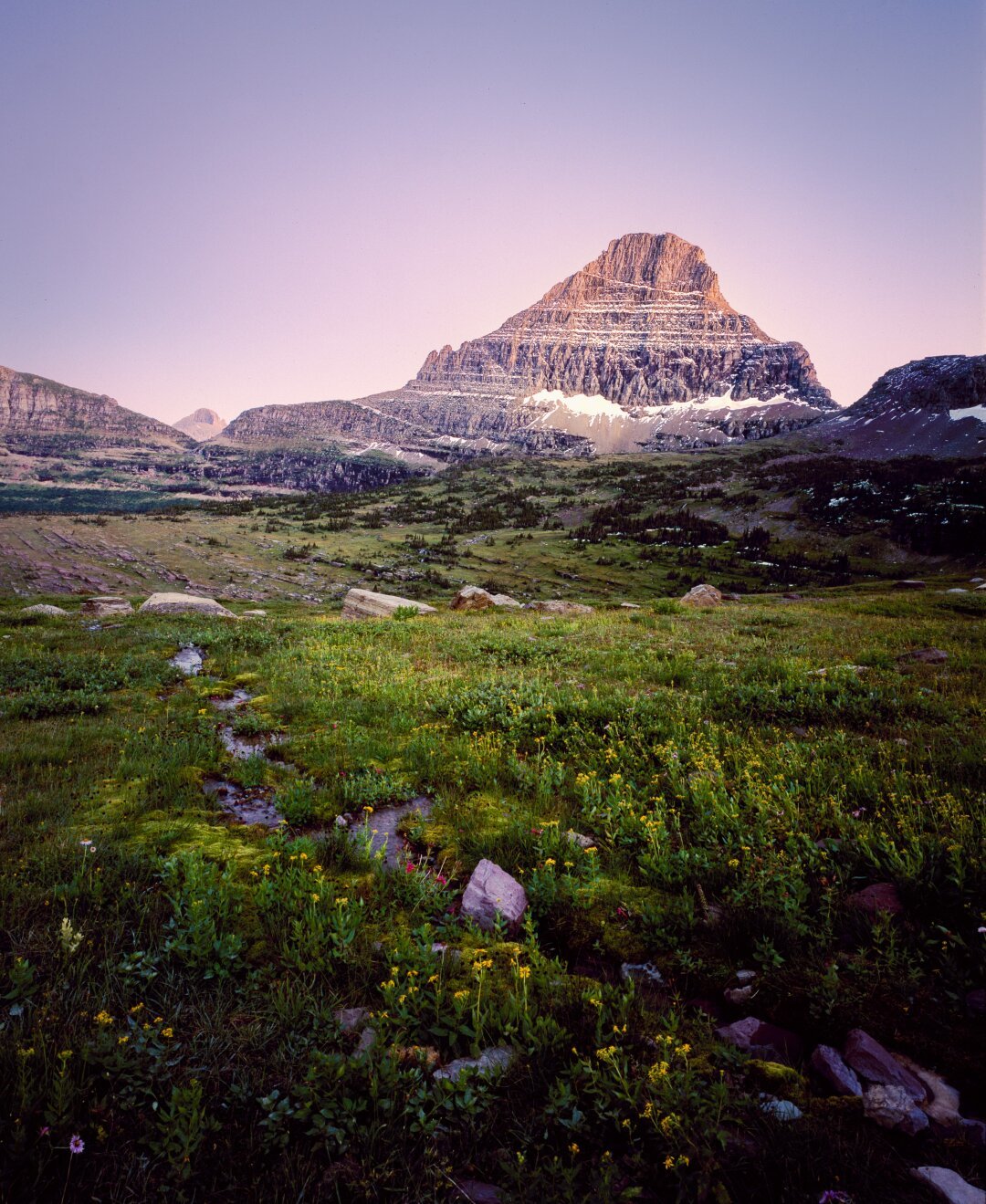 A mountain at twilight in Glacier national park, shot on film with wildflowers in the foreground