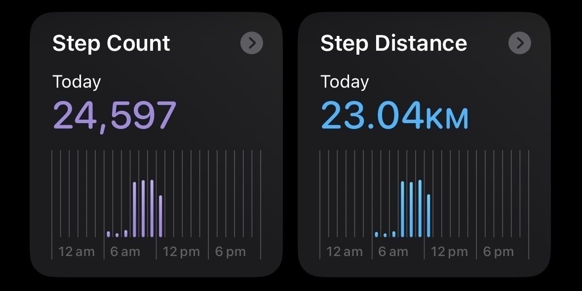 A display shows a step count of 24,597 and a step distance of 23.04 kilometers, with bar graphs indicating activity throughout the day.