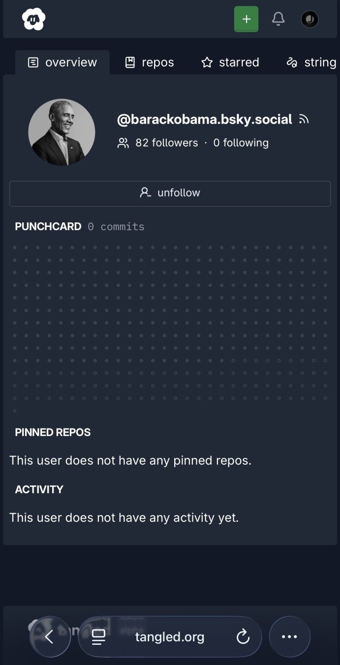 A social media profile page shows a username, profile photo, and sections for followers, repos, starred, punchcard, pinned repos, and activity, with no visible content or interactions. (tangled.org GitHub clone on atproto)