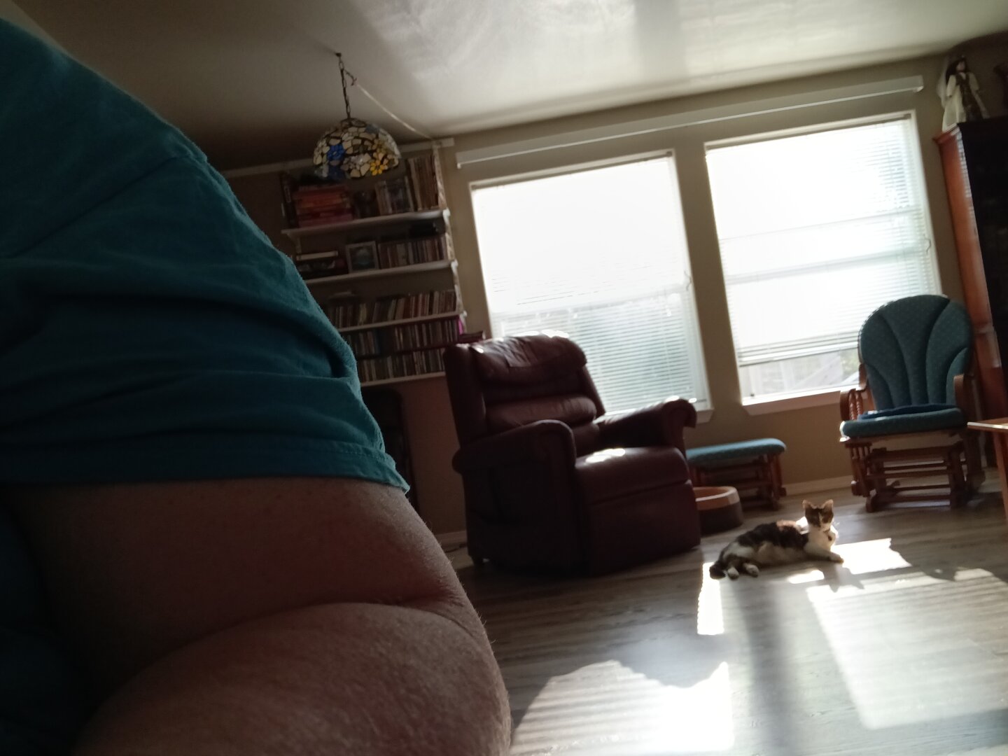 A white & brown-tabby cat sprawls in a sunbeam while watching the camera suspiciously. A fair-skinned elbow can be seen in the foreground, given the impression that someone was trying to sneak a picture before the cat noticed.