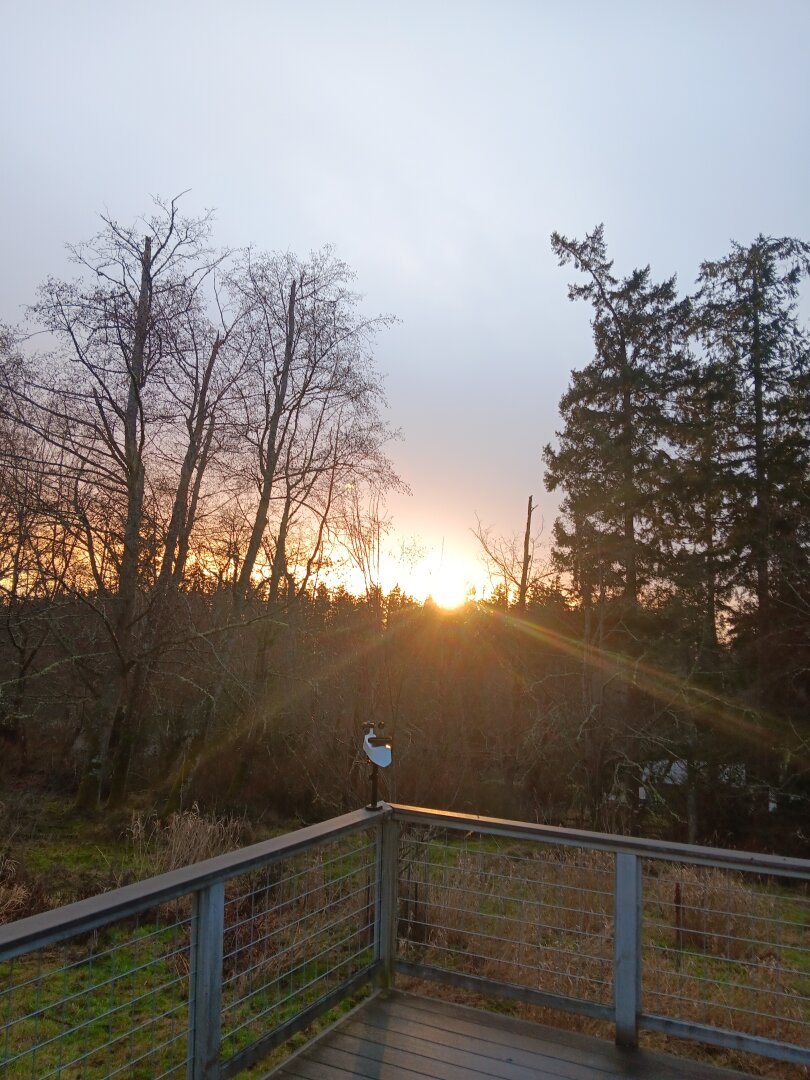 The sun sets right at a treeline, showing mostly as a bright orange-gold light above a dark tree horizon. A raised deck & railing show in the foreground, the outlines of nearer trees bracket the image on the left and right, and the sky above the sun shades through dusky blue, lilac, and grey tones.