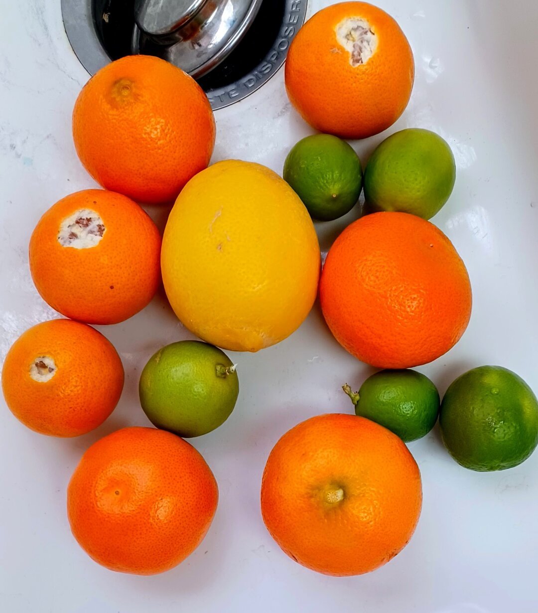 Lemons Limes Mandarins freshly harvested