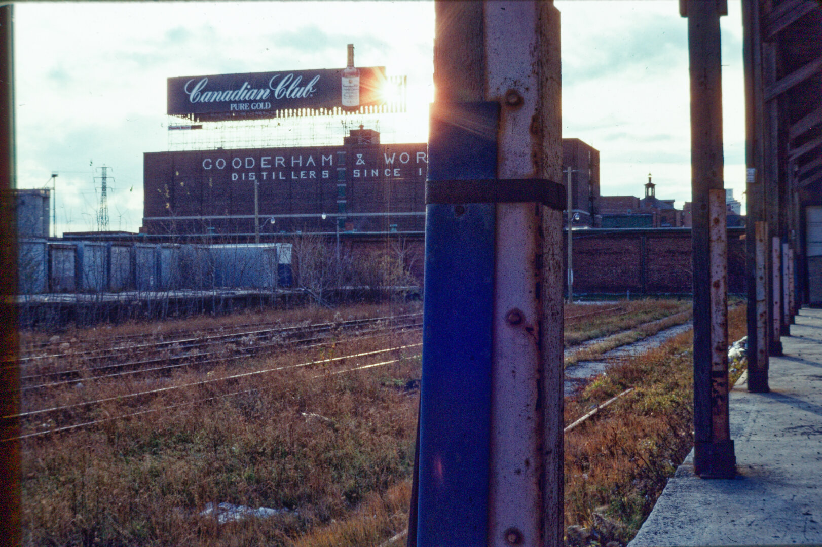 colour photo of a derelict industrial lot with railroad tracks becoming overgrown with brush. Giant lettering on structure in background reads "GOODERHAM & WOR-" and "DISTILLERS SINCE 1-". Billboard on roof reads "Canadian Club" in script beside huge cutout image of liquor bottle. Sun visible next to billboard.