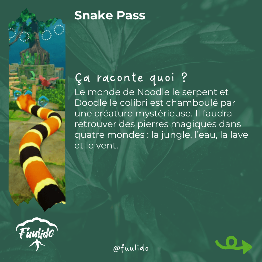 Ça raconte quoi ?
Le monde de Noodle le serpent et Doodle le colibri est chamboulé par une créature mystérieuse. Il faudra retrouver des pierres magiques dans quatre mondes : la jungle, l’eau, la lave et le vent.