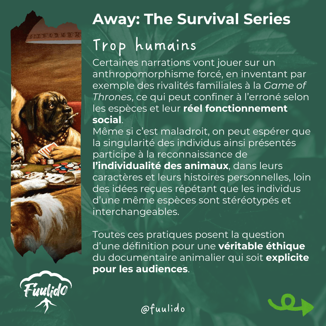 Trop humains
Certaines narrations vont jouer sur un anthropomorphisme forcé, en inventant par exemple des rivalités familiales à la Game of Thrones, ce qui peut confiner à l’erroné selon les espèces et leur réel fonctionnement social. Même si c’est maladroit, on peut espérer que la singularité des individus ainsi présentés participe à la reconnaissance de l’individualité des animaux, dans leurs caractères et leurs histoires personnelles.

Toutes ces pratiques posent la question d’une définition pour une véritable éthique du documentaire animalier.