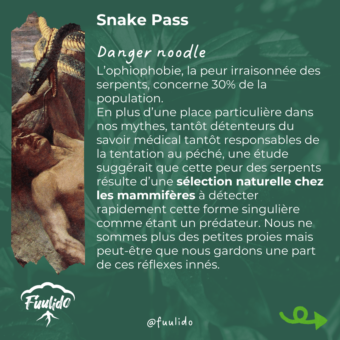 Danger noodle
L’ophiophobie, la peur irraisonnée des serpents, concerne 30% de la population. En plus d’une place particulière dans nos mythes, tantôt détenteurs du savoir médical tantôt responsables de la tentation au péché, une étude suggérait que cette peur des serpents résulte d’une sélection naturelle chez les mammifères à détecter rapidement cette forme singulière comme étant un prédateur. Nous ne sommes plus des petites proies mais peut-être que nous gardons une part de ces réflexes innés.