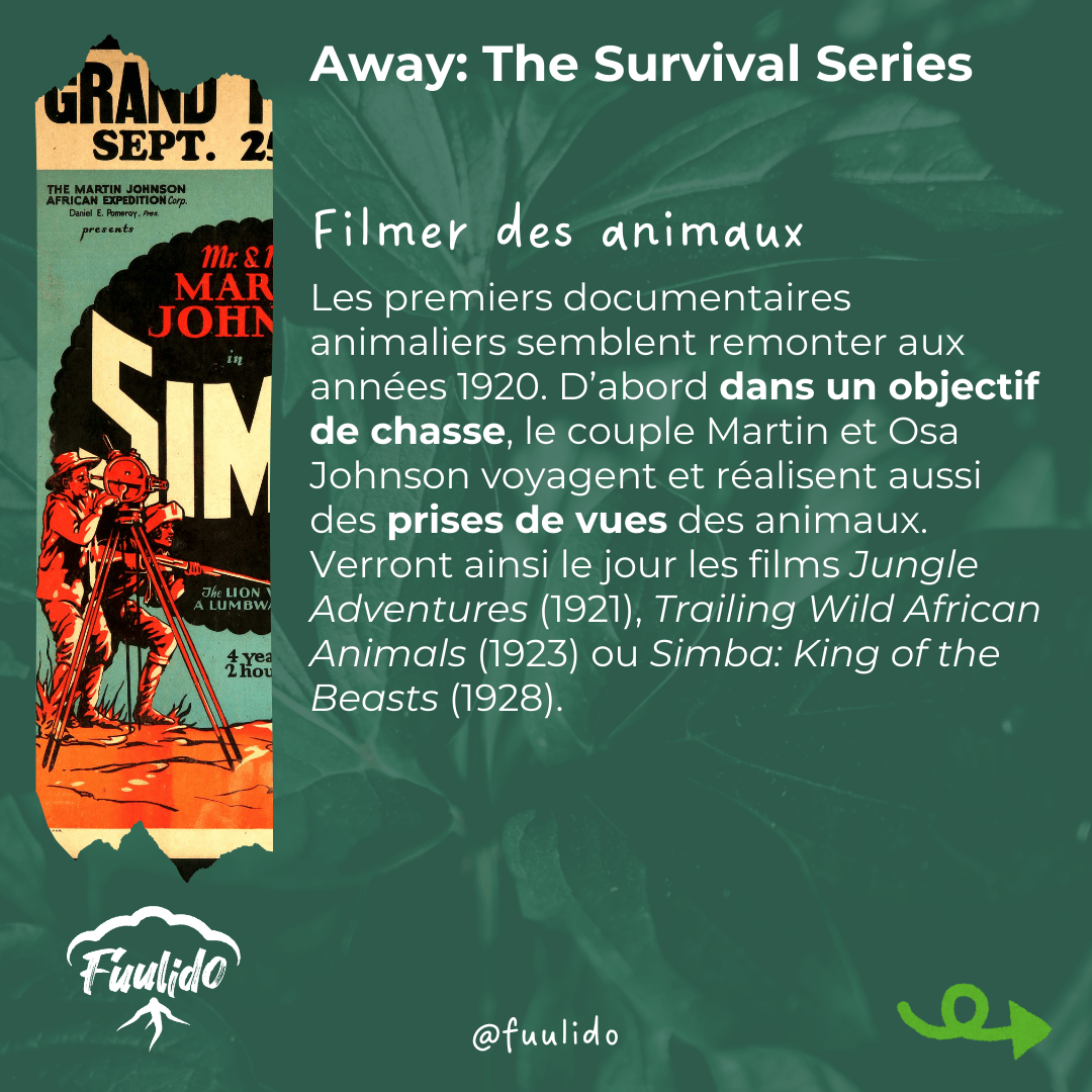 Filmer des animaux
Les premiers documentaires animaliers semblent remonter aux années 1920. D’abord dans un objectif de chasse, le couple Martin et Osa Johnson voyagent et réalisent aussi des prises de vues des animaux. Verront ainsi le jour les films Jungle Adventures (1921), Trailing Wild African Animals (1923) ou Simba: King of the Beasts (1928).