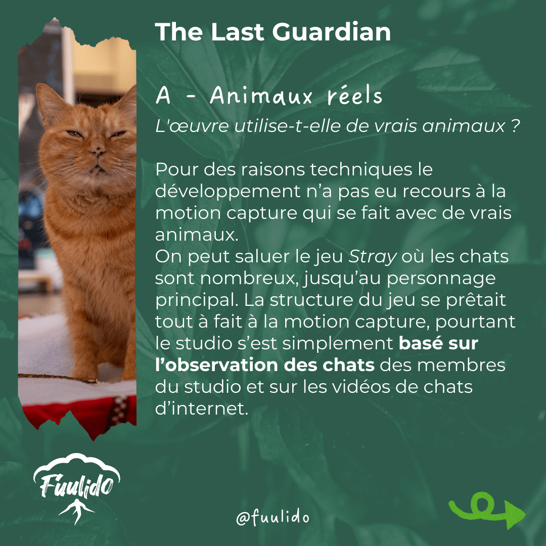 A - Animaux réels
L'œuvre utilise-t-elle de vrais animaux ?

Pour des raisons techniques le développement n’a pas eu recours à la motion capture qui se fait avec de vrais animaux.
On peut saluer le jeu Stray où les chats sont nombreux, jusqu’au personnage principal. La structure du jeu se prêtait tout à fait à la motion capture, pourtant le studio s’est simplement basé sur l’observation des chats des membres du studio et sur les vidéos de chats d’internet.