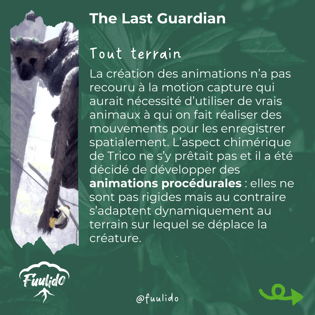 Tout terrain
La création des animations n’a pas recouru à la motion capture qui aurait nécessité d’utiliser de vrais animaux à qui on fait réaliser des mouvements pour les enregistrer spatialement. L’aspect chimérique de Trico ne s’y prêtait pas et il a été décidé de développer des animations procédurales : elles ne sont pas rigides mais au contraire s’adaptent dynamiquement au terrain sur lequel se déplace la créature.