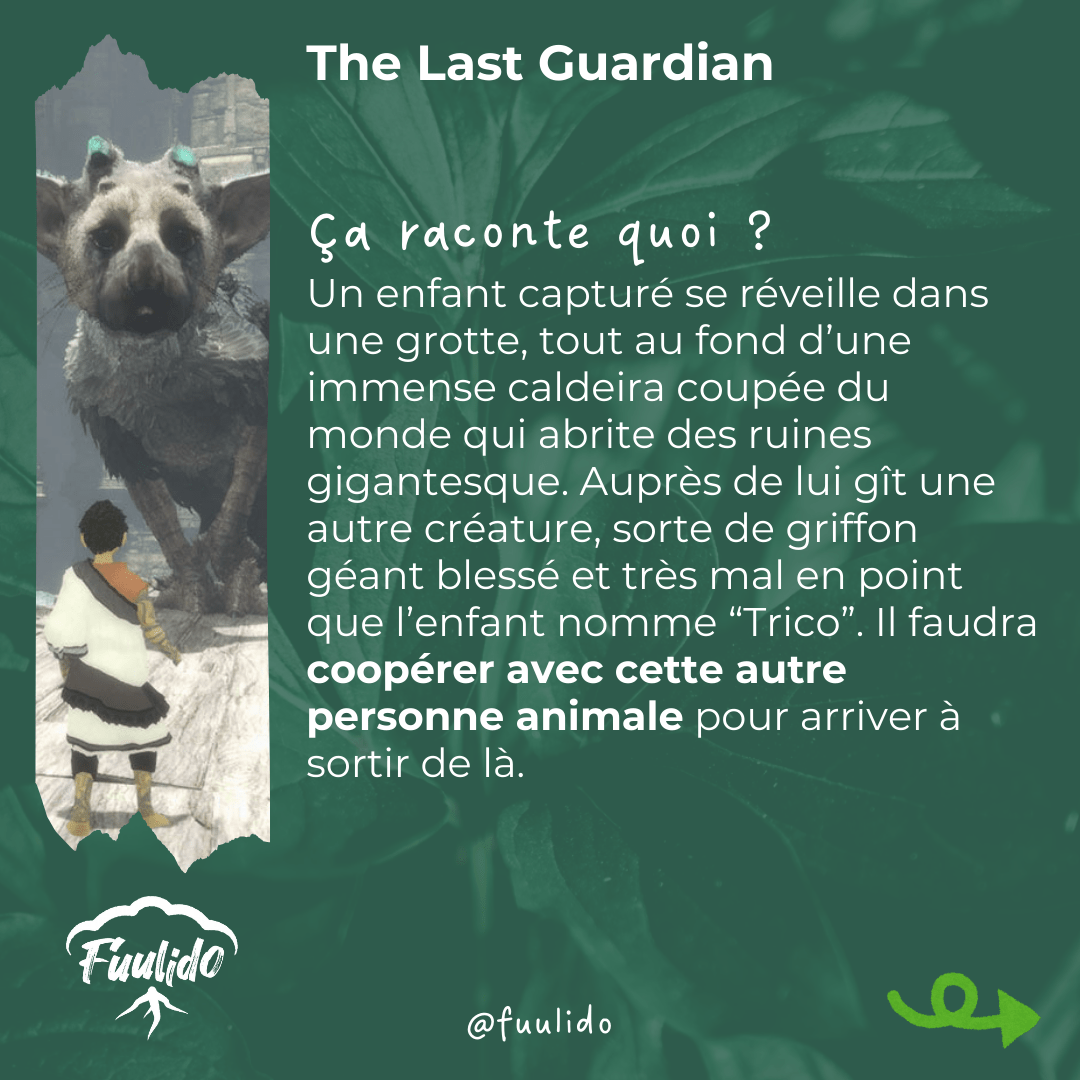 Ça raconte quoi ?
Un enfant capturé se réveille dans une grotte, tout au fond d’une immense caldeira coupée du monde qui abrite des ruines gigantesque. Auprès de lui gît une autre créature, sorte de griffon géant blessé et très mal en point que l’enfant nomme “Trico”. Il faudra coopérer avec cette autre personne animale pour arriver à sortir de là.