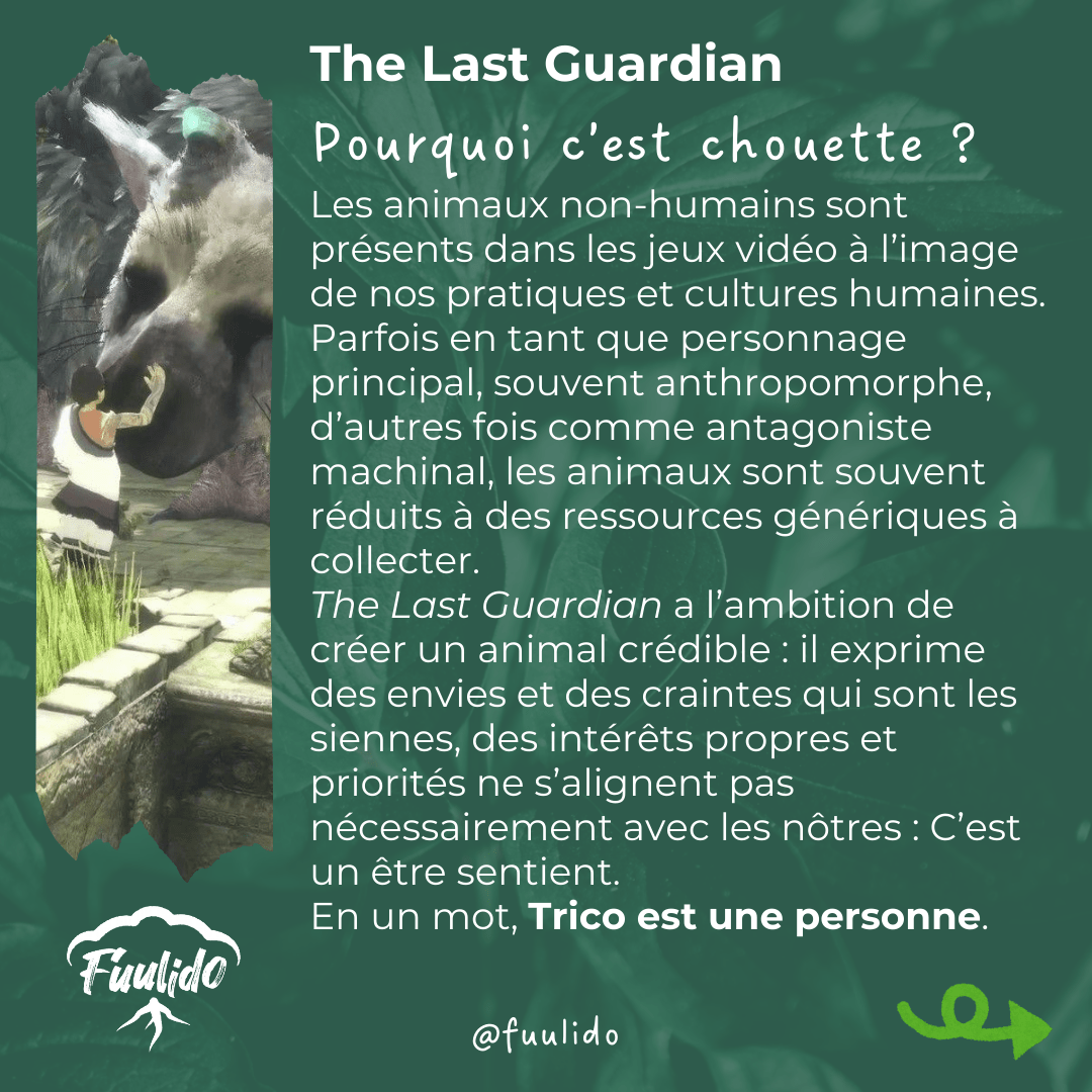 Pourquoi c’est chouette ?
Les animaux non-humains sont présents dans les jeux vidéo à l’image de nos pratiques et cultures humaines. Parfois en tant que personnage principal, souvent anthropomorphe, d’autres fois comme antagoniste machinal, les animaux sont souvent réduits à des ressources génériques à collecter.
The Last Guardian a l’ambition de créer un animal crédible : il exprime des envies et des craintes qui sont les siennes, des intérêts propres et priorités ne s’alignent pas nécessairement avec les nôtres : C’est un être sentient.
En un mot, Trico est une personne.