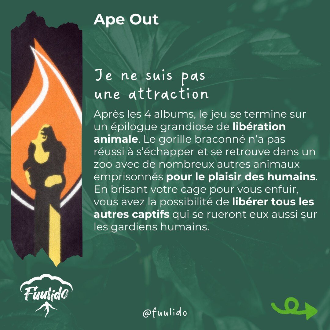 Je ne suis pas une attraction
Après les 4 albums, le jeu se termine sur un épilogue grandiose de libération animale. Le gorille braconné n’a pas réussi à s’échapper et se retrouve dans un zoo avec de nombreux autres animaux emprisonnés pour le plaisir des humains. En brisant votre cage pour s’enfuir, vous avez la possibilité de libérer tous les autres captifs qui se rueront de conserve sur les gardiens humains.