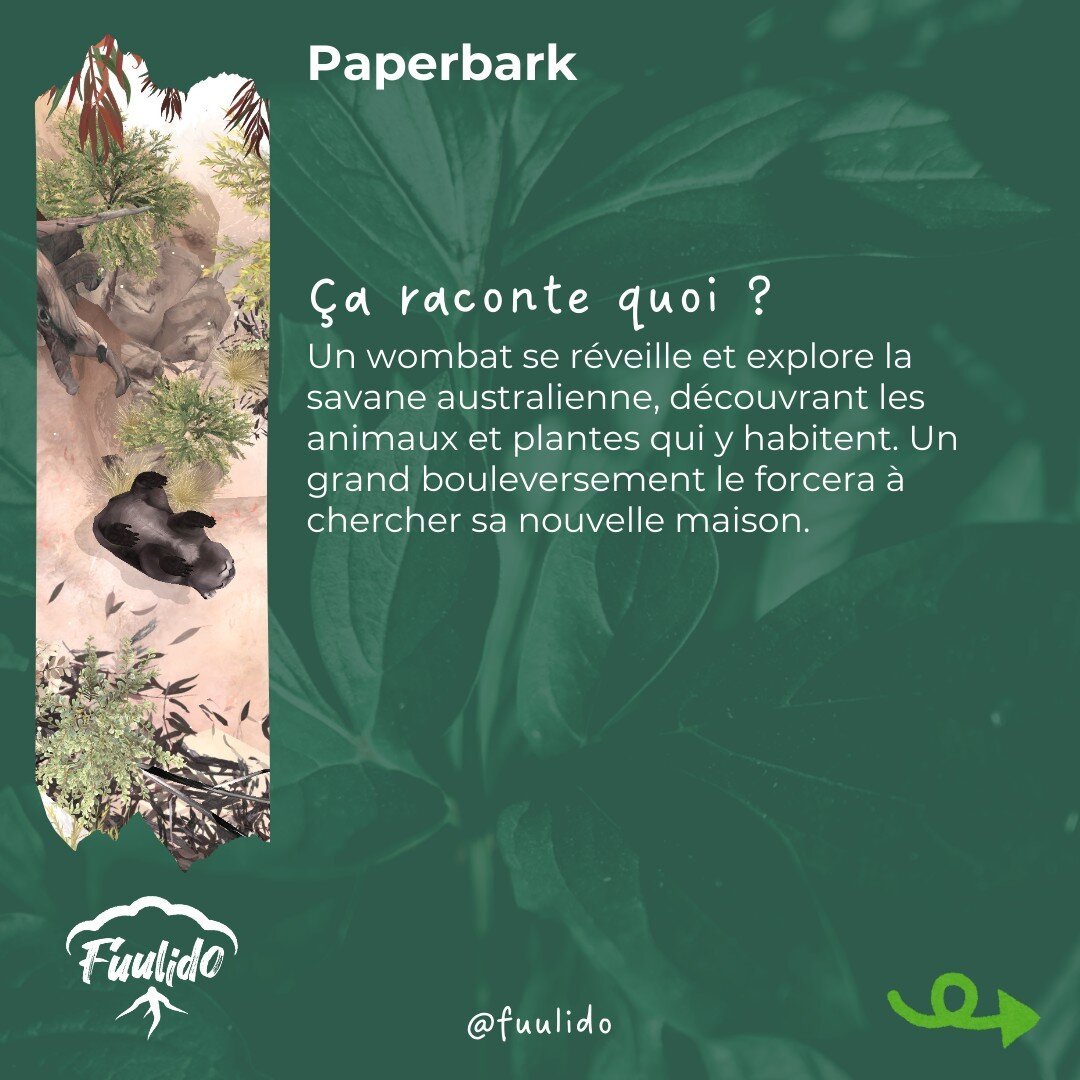 Ça raconte quoi ?
Un wombat se réveille et explore la savane australienne, découvrant les animaux et plantes qui y habitent. Un grand bouleversement le forcera à chercher sa nouvelle maison.