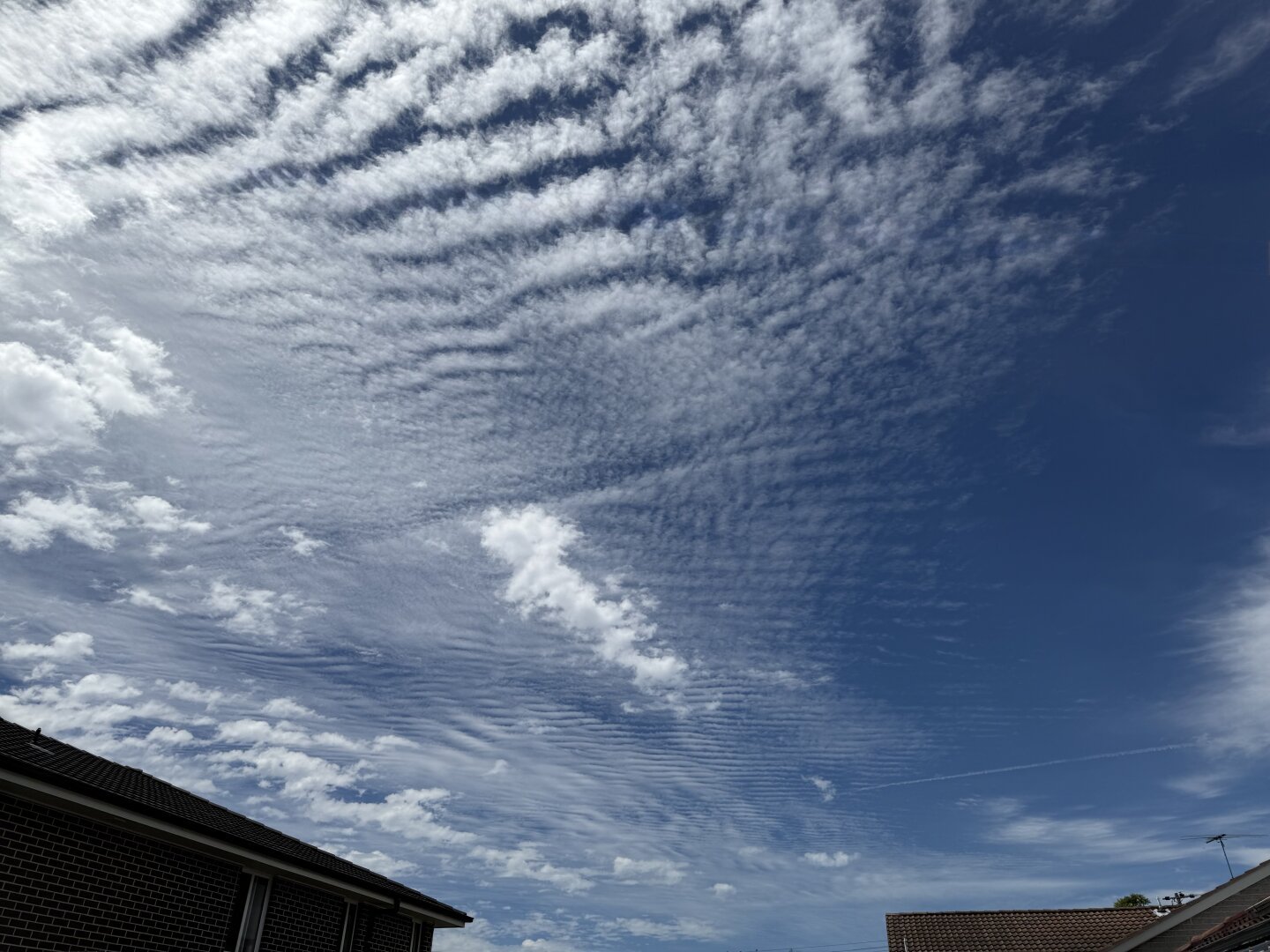 A photo of a blue summer sky, with series of white mountain wave clouds high up in the atmosphere
