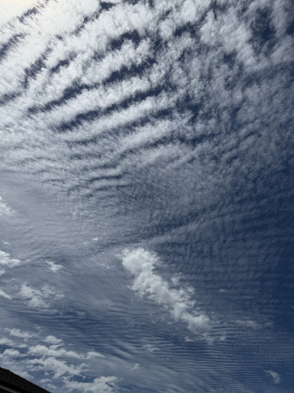A photo of a blue summer sky, with series of white mountain wave clouds high up in the atmosphere
