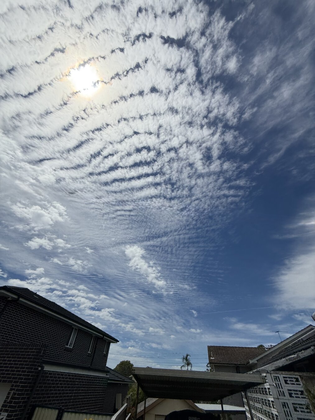 A photo of a blue summer sky, with series of white mountain wave clouds high up in the atmosphere