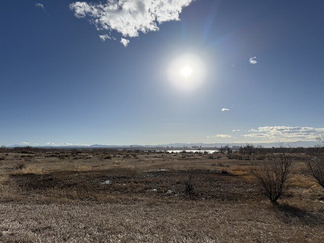 Sun shining through the clouds on a brown winter day in a Colorado park