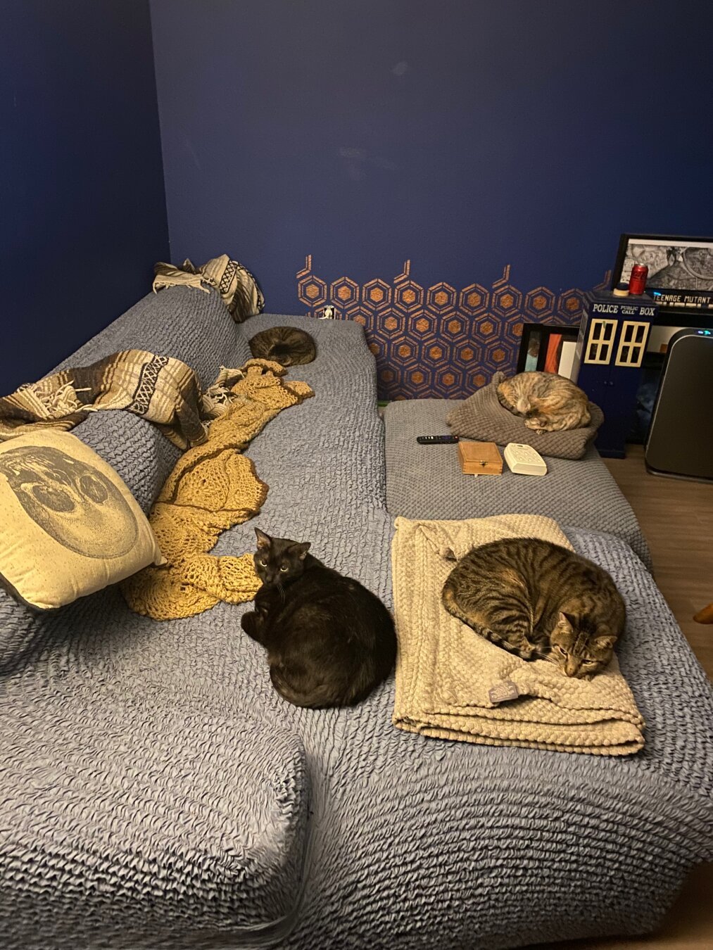 Four cats relax on a couch that has a chaise longue on the end closest to the camera, and a large ottoman in the crook of the chaise longue and the middle section of the couch. A brown tabby lies curled up on a folded grey blanket on the foot of the chaise longue, and a black cat is curled up next to him, just barely touching the blanket. Another brown tabby is at the far end of the couch, and a silver and ginger torbie is curled up on another folded blanket on the ottoman.