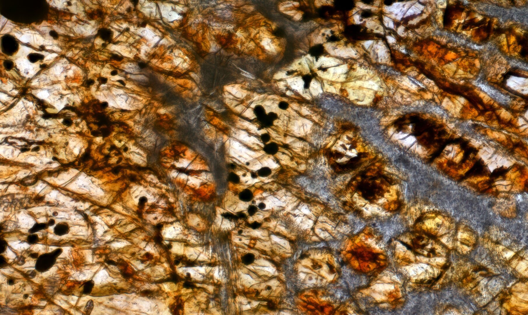 Northwest Africa (NWA) 11344 Meteorite Meteorite Thin Section microphotograph.