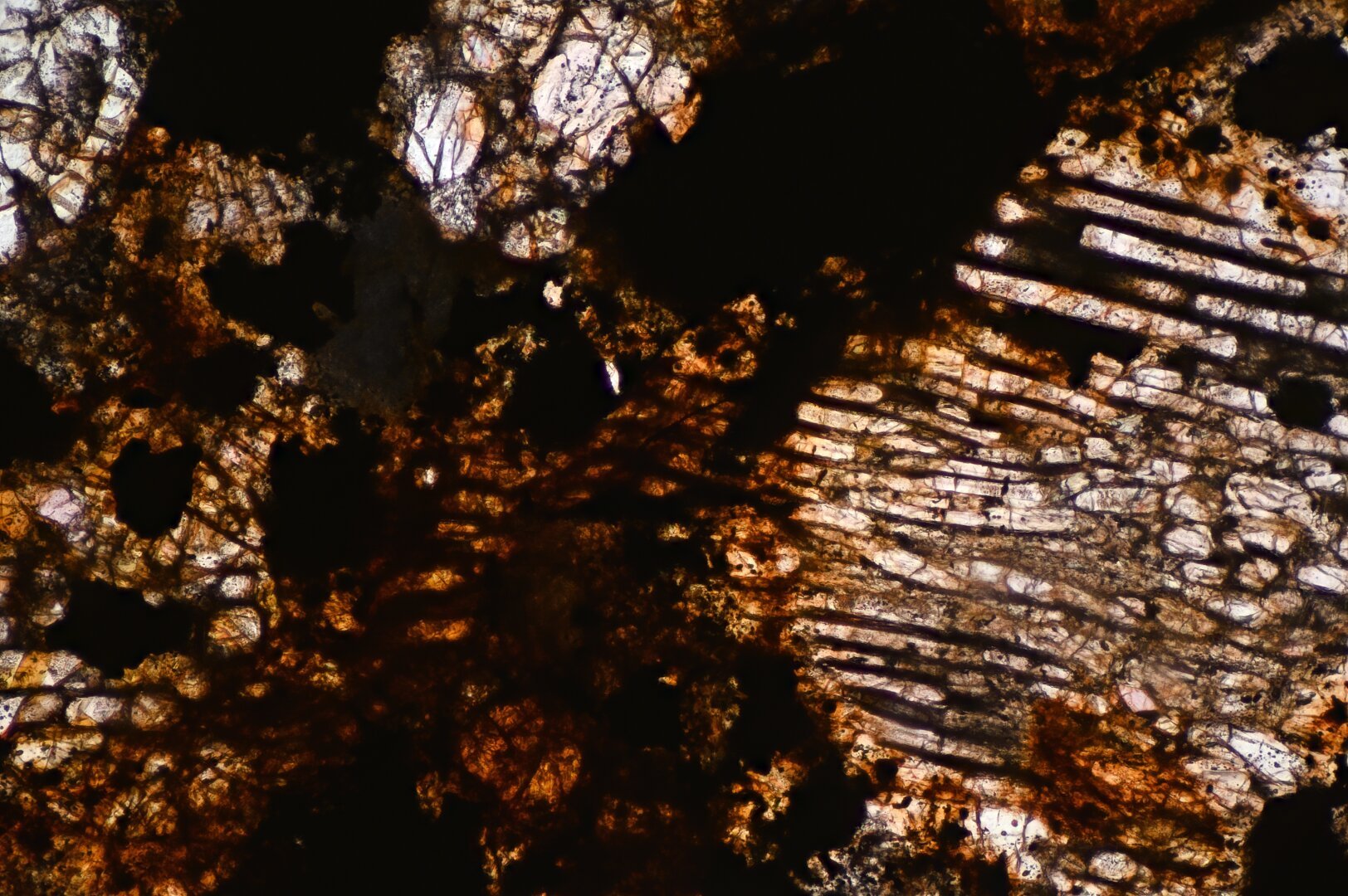 Nuevo Mercurio Meteorite Meteorite Thin Section microphotograph.