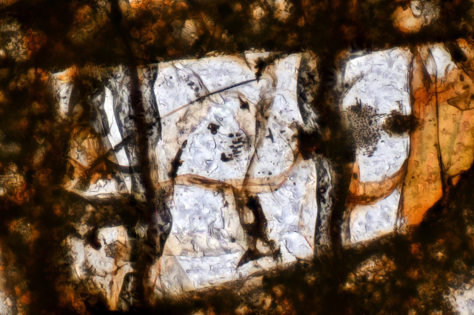 Northwest Africa (NWA) 8773 Meteorite Meteorite Thin Section microphotograph.