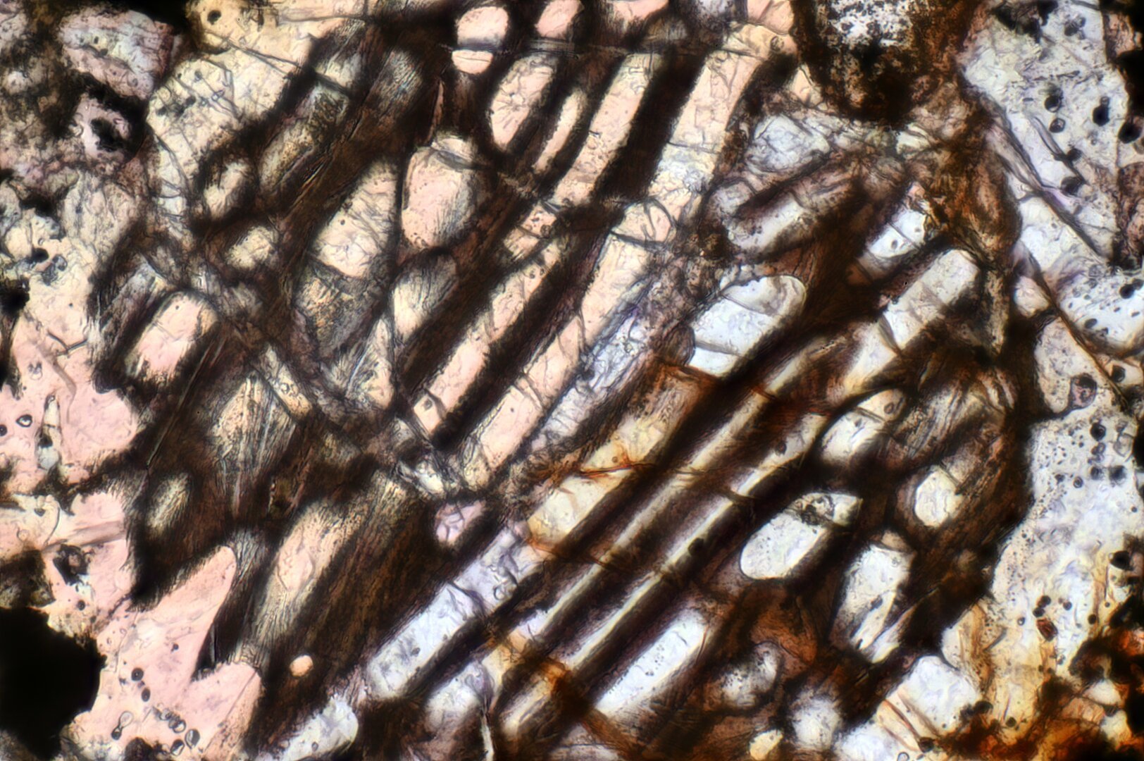 Saratov Meteorite Meteorite Thin Section microphotograph.