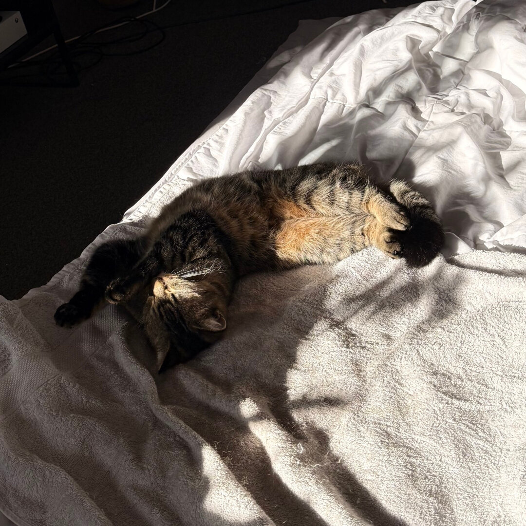 similar photo to the previous one except this time Fara has her eyes closed