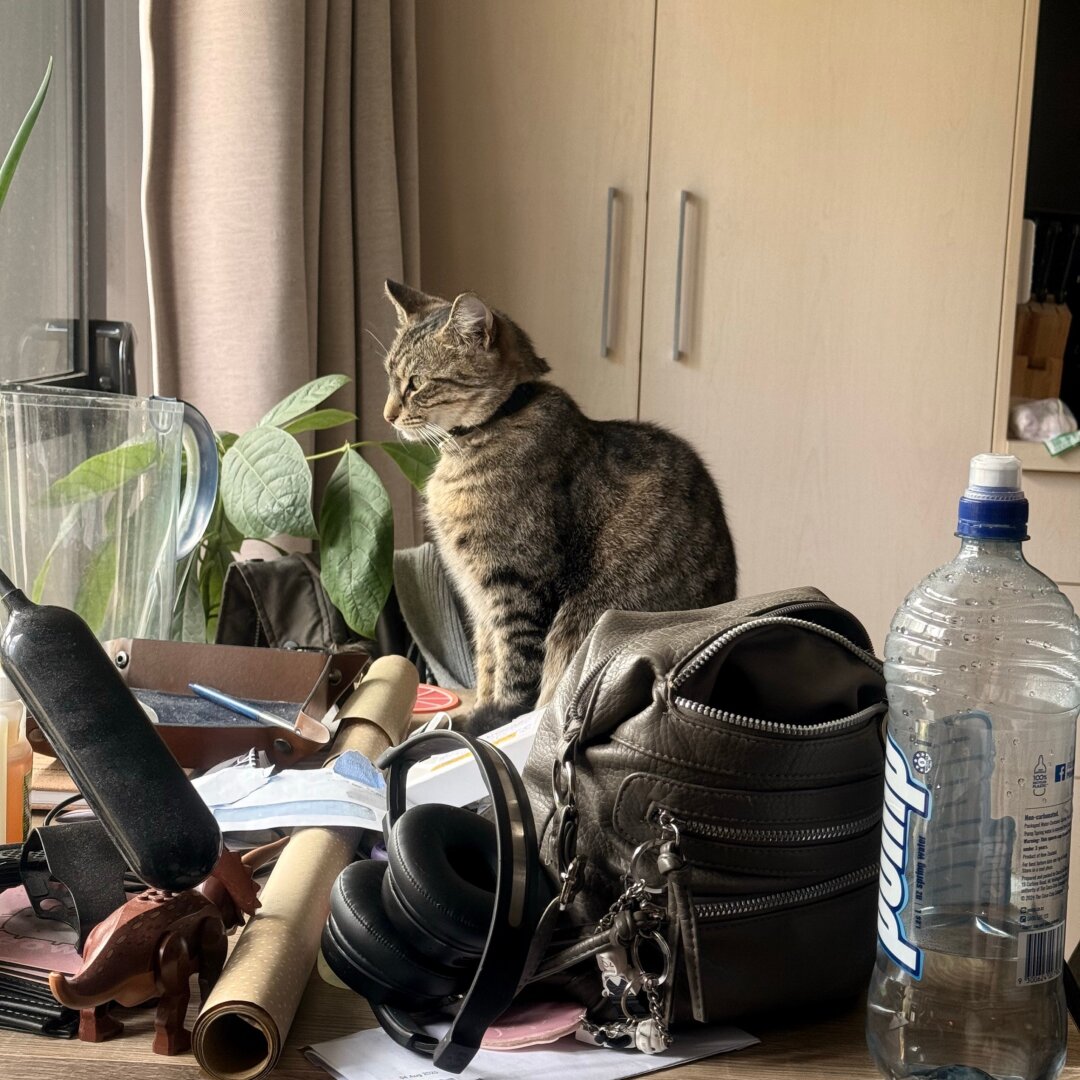 basically the same image as before but her face is turned slightly toward the camera so you can see her face a little better