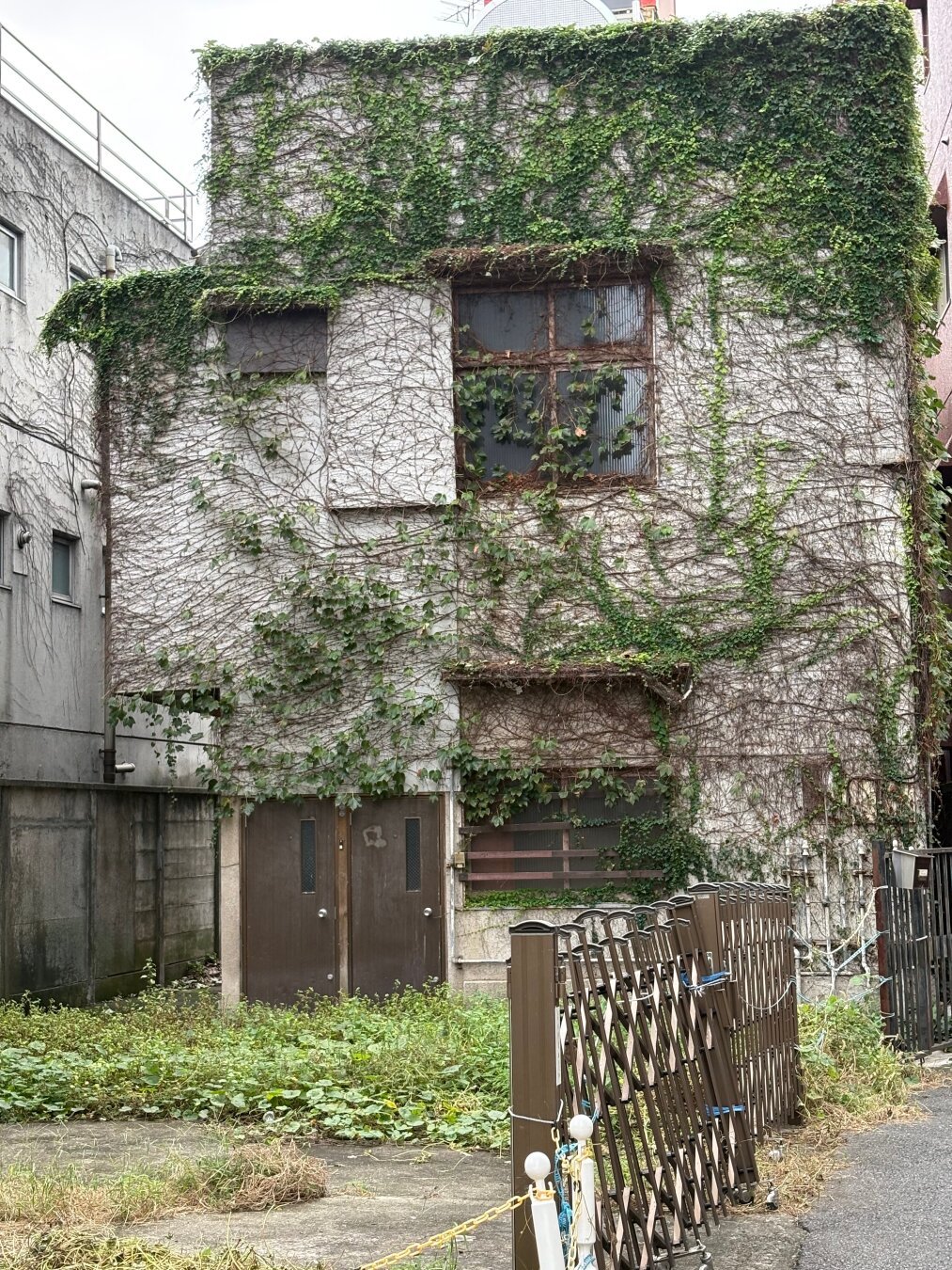 An abandoned old rusty grey building with green overtaking what we can see of its original shape