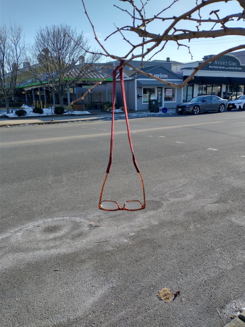 Pair of glasses hanging from a tree branch