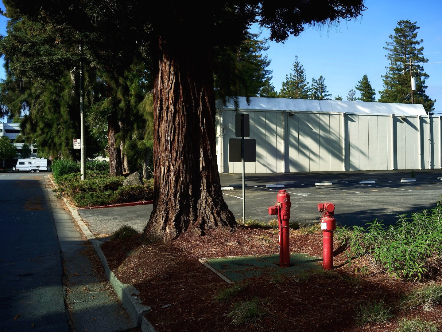 Sunnyvale, CA