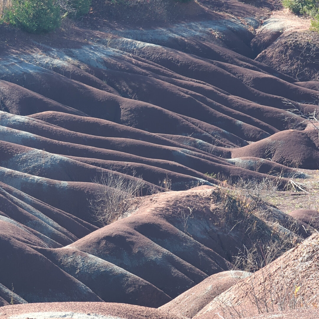 Undulating hills that look like large, tubular protrusions from under the ground. This is the Queenston Formation which is characterized by its brick-red to maroon shales which are interlaced with smaller amounts of green shale, sandstone, and limestone.