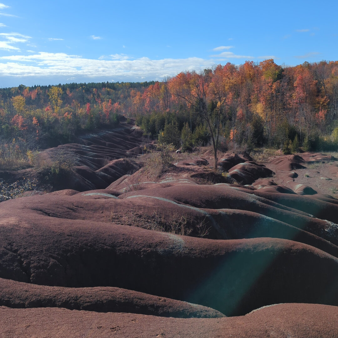 Undulating hills that look like large, tubular protrusions from under the ground. This is the Queenston Formation which is characterized by its brick-red to maroon shales which are interlaced with smaller amounts of green shale, sandstone, and limestone. Blue sky and a fall colour tree line is visible at the top of the picture.